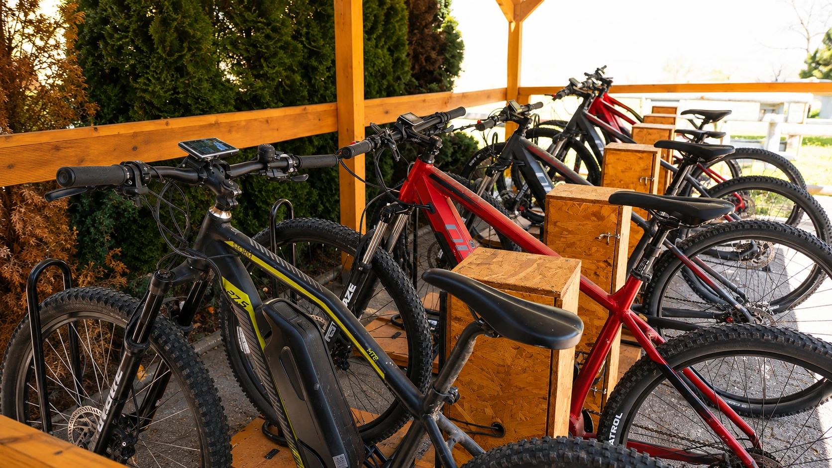 Electric bikes